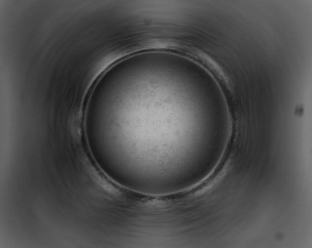 X0000102011178200807181221