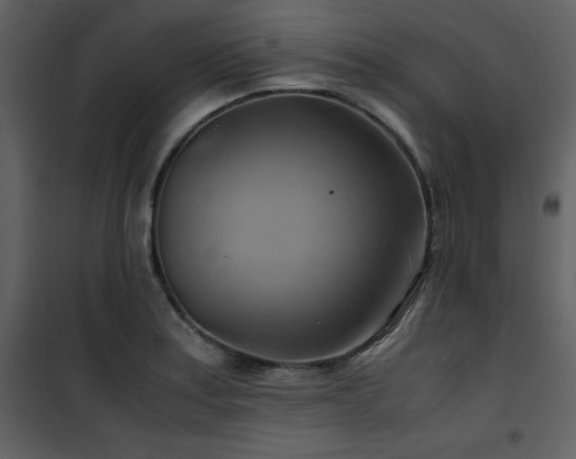 X0000102011179200807181221
