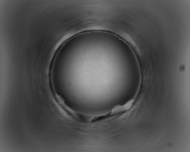 X0000102011181200807181221
