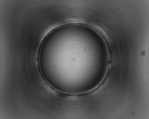 X0000102011182200807181221