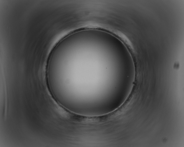 X0000102011183200807181221