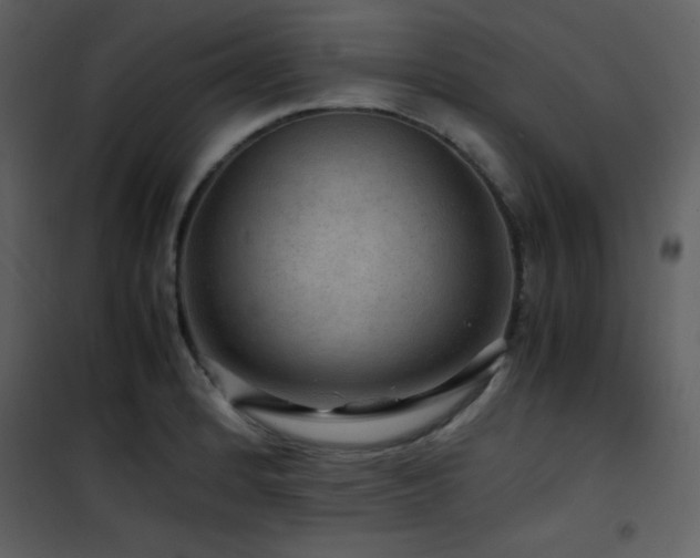 X0000102011184200807181221