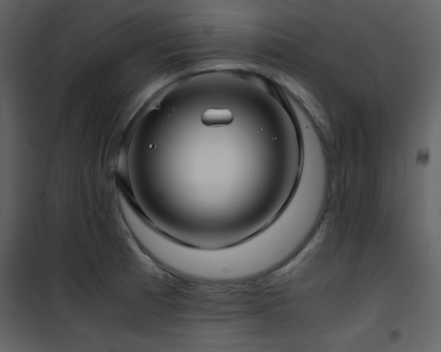 X0000102011185200807181221
