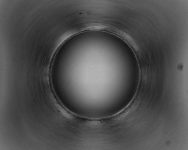 X0000102011186200807181221