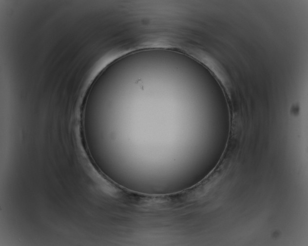 X0000102011187200807181221