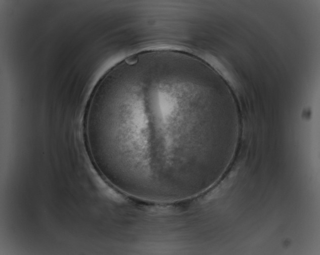 X0000102011189200807181221