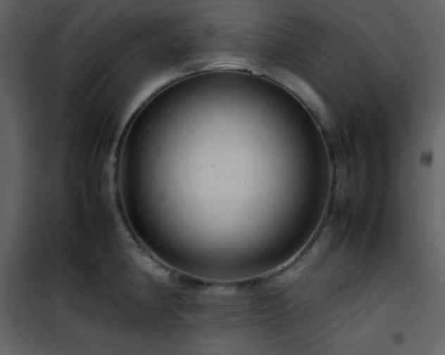 X0000102011190200807181221