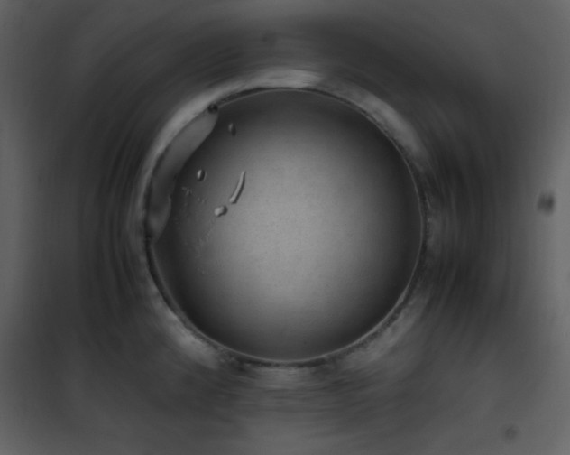 X0000102011192200807181221