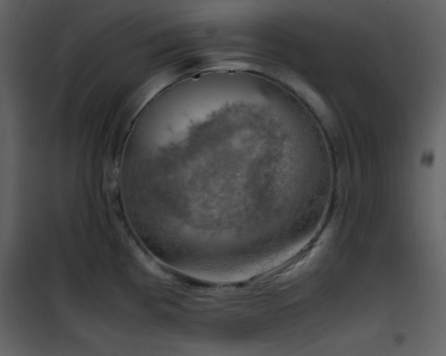 X0000102011193200807181221