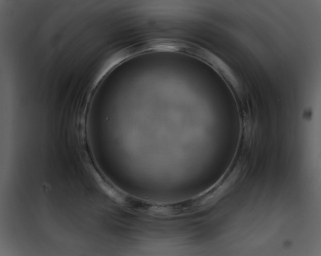 X0000102011194200807181221