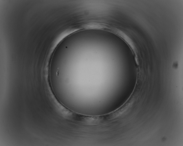 X0000102011195200807181221