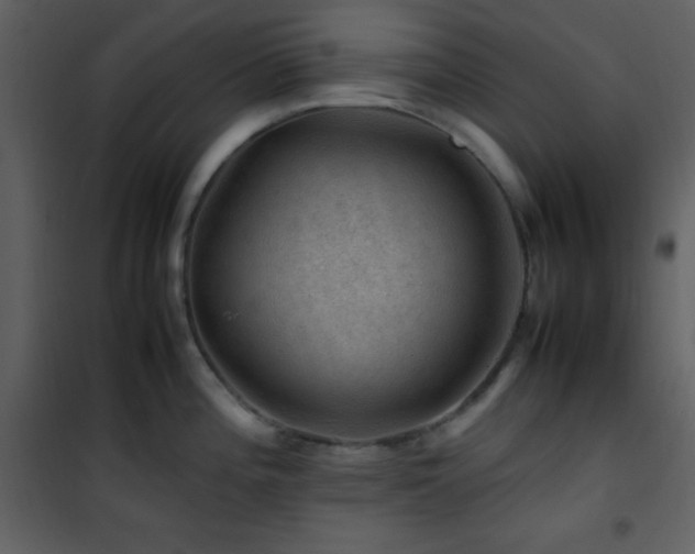 X0000102011196200807181221