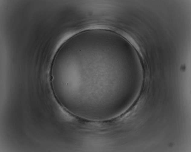 X0000102011197200807181221