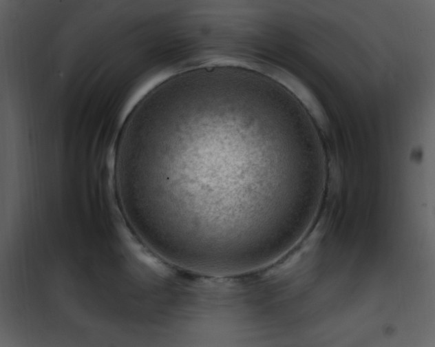 X0000102011198200807181221