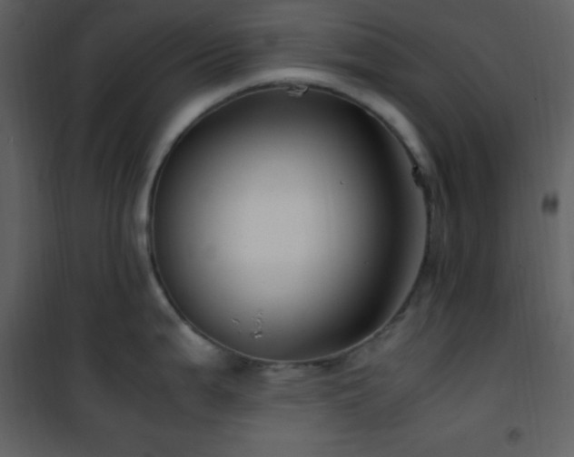 X0000102011199200807181221