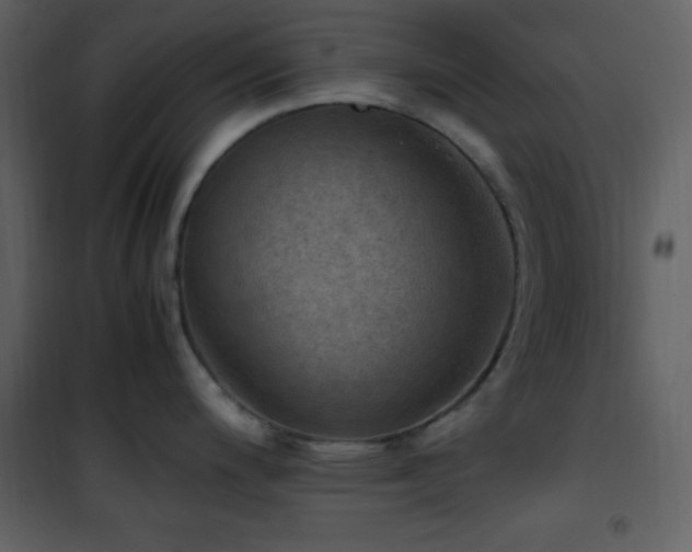 X0000102011200200807181221