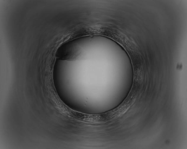 X0000102011201200807181220
