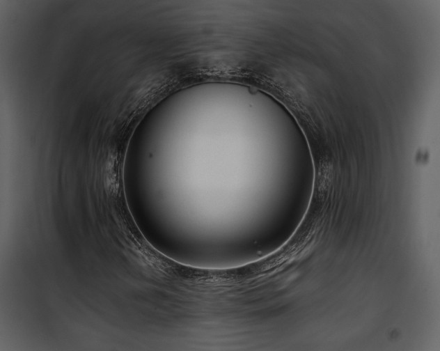 X0000102011202200807181220