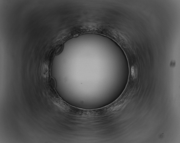 X0000102011203200807181220