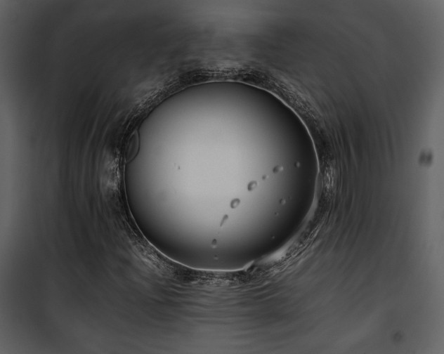 X0000102011204200807181220