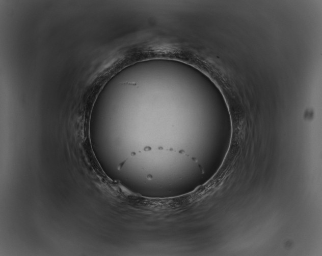 X0000102011205200807181220