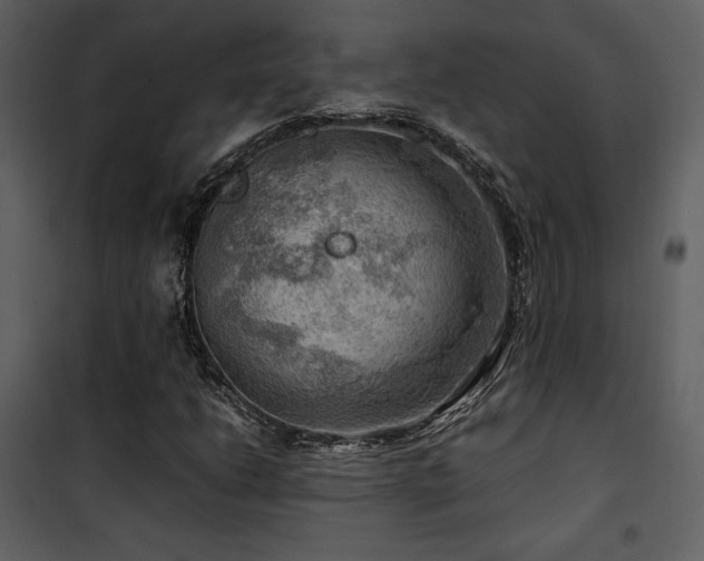 X0000102011206200807181220