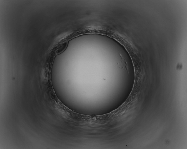 X0000102011207200807181220