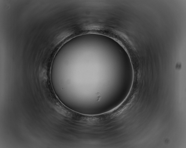 X0000102011209200807181220