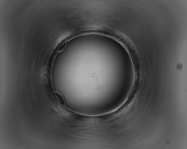 X0000102011210200807181220