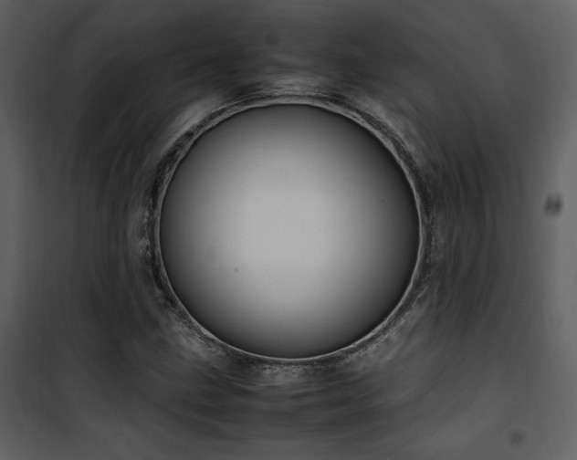 X0000102011211200807181220