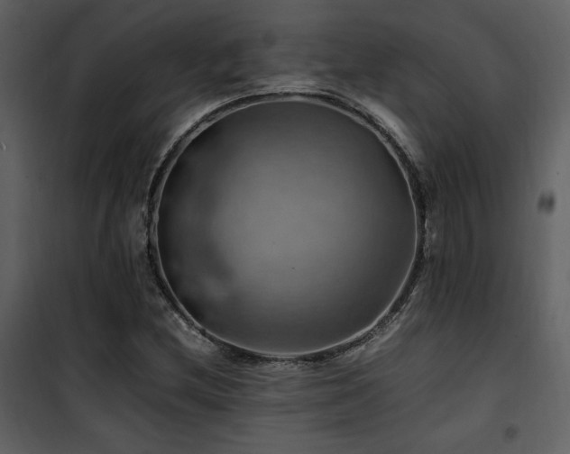 X0000102011212200807181220