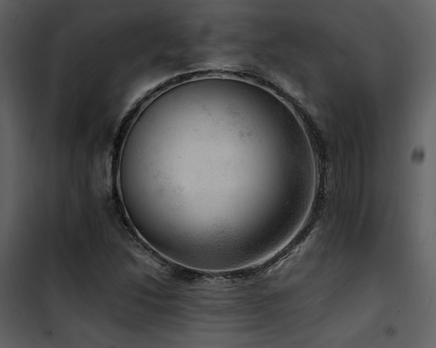 X0000102011214200807181220