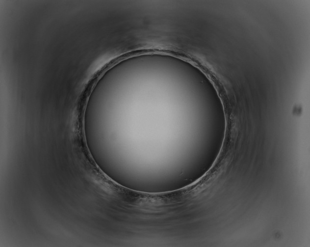 X0000102011215200807181220