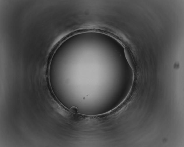 X0000102011216200807181220