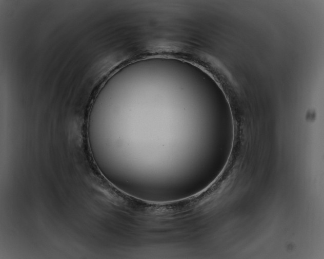 X0000102011217200807181220