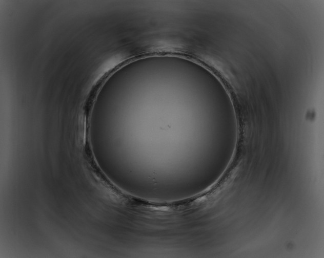 X0000102011219200807181220