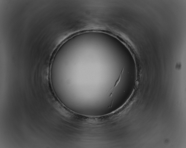 X0000102011220200807181220