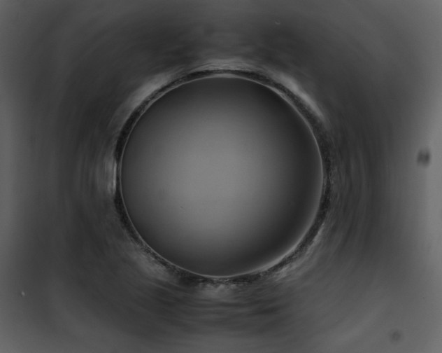 X0000102011221200807181220
