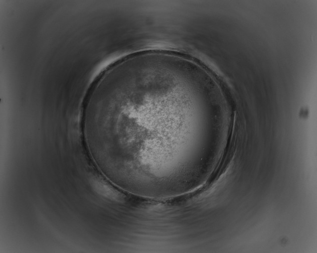 X0000102011222200807181220