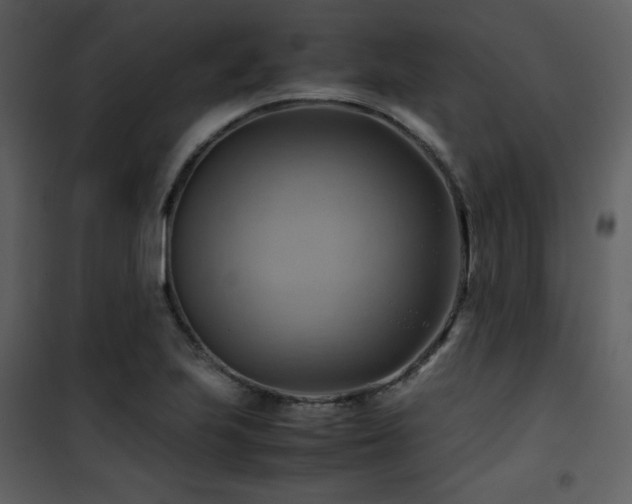 X0000102011223200807181220