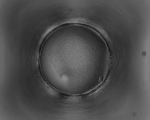 X0000102011224200807181220