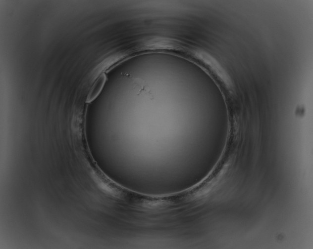 X0000102011225200807181220