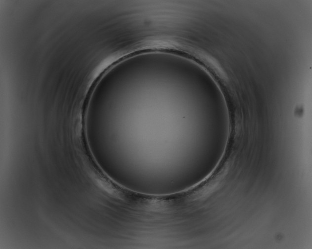 X0000102011226200807181220
