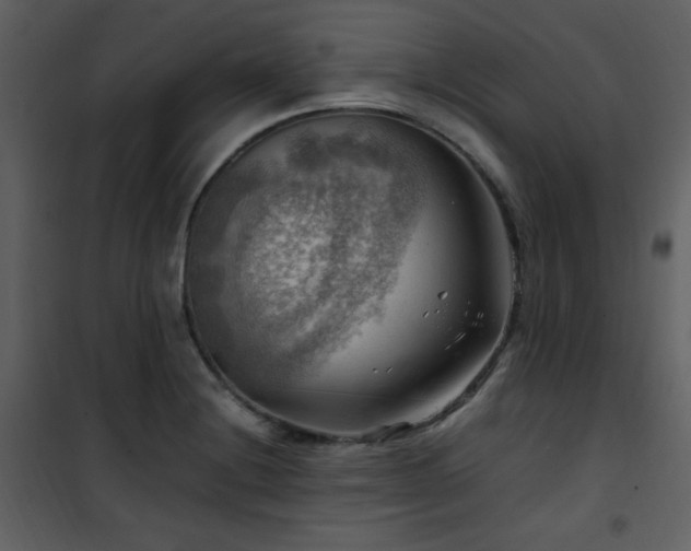 X0000102011228200807181220
