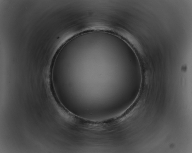 X0000102011229200807181220