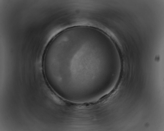 X0000102011230200807181220