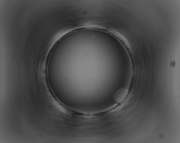 X0000102011231200807181220