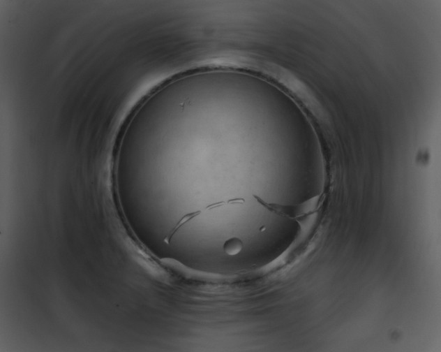 X0000102011232200807181220