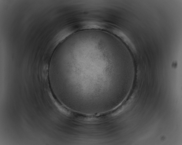 X0000102011233200807181220