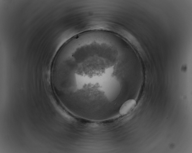 X0000102011234200807181220